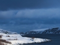 Batsfjord 2016
