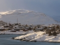 Batsfjord 2016
